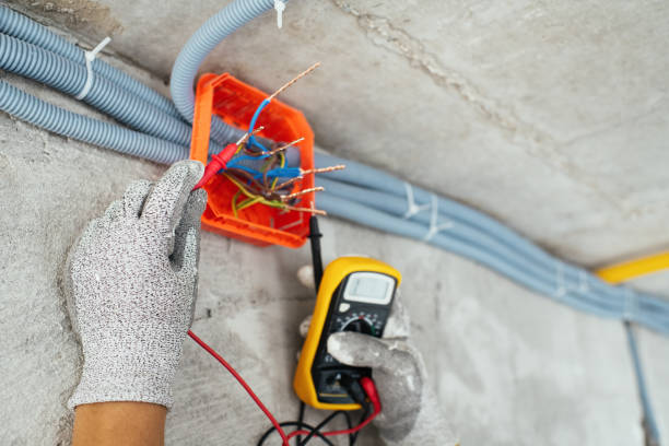 Best Electrical Upgrades for Homes  in Freeburg, IL